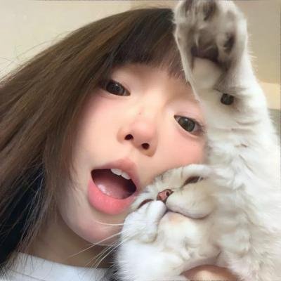 龙虎双侠